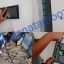 نصب ایفون 4طبقه