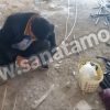 لوله گذاری مسیر کولر گازی