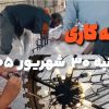 نصب لوستر و سربندی مجدد ان در اسفراین